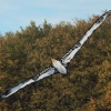 Drachenfest Fliegergruppe Hülben e.V.