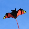 Drachenfest Fliegergruppe Hülben e.V.