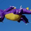 Drachenfest Fliegergruppe Hülben 14