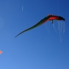 Drachenfest Fliegergruppe Hülben 14