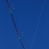 Drachenfest Fliegergruppe Hülben 14