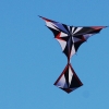 Drachenfest Fliegergruppe Hülben 14