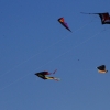Drachenfest Fliegergruppe Hülben 14
