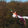 Drachenfest Fliegergruppe Hülben 14