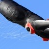 Drachenfest Fliegergruppe Hülben 14
