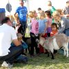 Drachenfest Hülben 12
