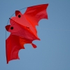 Drachenfest Hülben 12