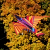 Drachenfest Hülben 12