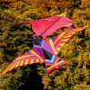 Drachenfest Hülben 12