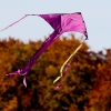 Drachenfest Hülben 12