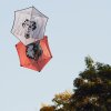 Drachenfest Hülben 12