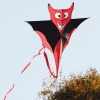 Drachenfest Hülben 12