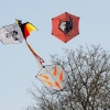Drachenfest Hülben 12