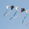 Drachenfest Hülben 12