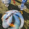 pxl_20231015_132537724-long_exposure-01-cover2_