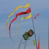 Drachenfest Luftsportverein Münsingen-Eisberg e.V. 24.10.2015