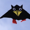 Drachenfest Luftsportverein Münsingen-Eisberg e.V. 24.10.2015