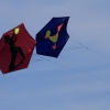 Drachenfest Luftsportverein Münsingen-Eisberg e.V. 24.10.2015