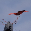 Drachenfest Luftsportverein Münsingen-Eisberg e.V. 24.10.2015