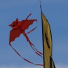 Drachenfest Luftsportverein Münsingen-Eisberg e.V. 24.10.2015