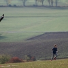 Drachenfest Luftsportverein Münsingen-Eisberg e.V. 24.10.2015