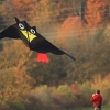 Drachenfest Luftsportverein Münsingen-Eisberg e.V. 24.10.2015