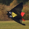 Drachenfest Luftsportverein Münsingen-Eisberg e.V. 24.10.2015