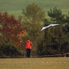 Drachenfest Luftsportverein Münsingen-Eisberg e.V. 24.10.2015
