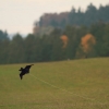 Drachenfest Luftsportverein Münsingen-Eisberg e.V. 24.10.2015