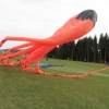 Drachenfest LSV-Münsingen-Eisberg e.V. 2013