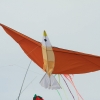 Drachenfest LSV-Münsingen-Eisberg e.V. 2013