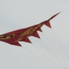 Drachenfest LSV-Münsingen-Eisberg e.V. 2013