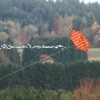 Drachenfest LSV-Münsingen-Eisberg e.V. 2013