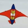 Drachenfest LSV-Münsingen-Eisberg e.V. 2013