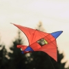 Drachenfest LSV-Münsingen-Eisberg e.V. 2013
