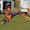 Drachenfest LSV-Münsingen-Eisberg e.V. 2013