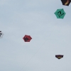Drachenfest LSV-Münsingen-Eisberg e.V. 2013