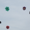 Drachenfest LSV-Münsingen-Eisberg e.V. 2013