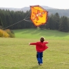 Drachenfest LSV-Münsingen-Eisberg e.V. 2013