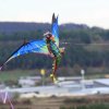 Drachenfest LSV-Münsingen-Eisberg e.V. 2013