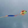 Drachenfest LSV-Münsingen-Eisberg e.V. 2013
