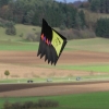 Drachenfest LSV-Münsingen-Eisberg e.V. 2013
