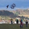 Drachenfest LSV-Münsingen-Eisberg e.V. 2013