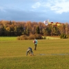 Drachenfest LSV-Münsingen-Eisberg e.V. 2013
