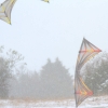 Drachenfest Luftsportverein Münsingen-Eisberg e.V. 28.10.2018