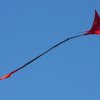 1dfh-drachen-eisb221011_0019