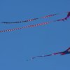 1dfh-drachen-eisb221011_0048