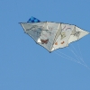 1dfh-drachen-eisb221011_0008