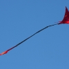 1dfh-drachen-eisb221011_0019