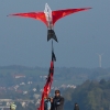 1dfh-drachen-eisb221011_0029